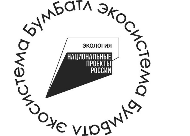 Акция БумБатл.